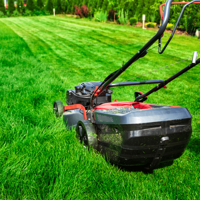 Lawn Care
